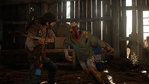 Days Gone for PlayStation 4