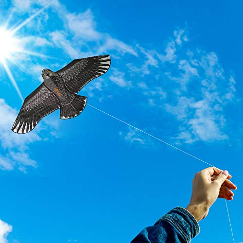 Large Eagle Bird Kite for Children & Adults - Huge Wingspan and Lifelike Design - Easy to Assemble & Fly - Superb Outdoor Toy - Makes a Great Gift or Stocking Filler