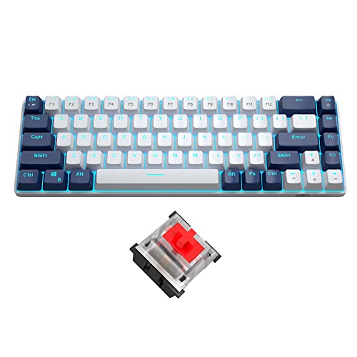 60 Percent Gaming Mechanical Keyboard, Minimalist MK-Box Blue Backlit Compact 68 Keys Wired Office Keyboard with Red Switch for Windows Laptop PC Mac Convenient/Xbox (Red Switch, Blue & White)