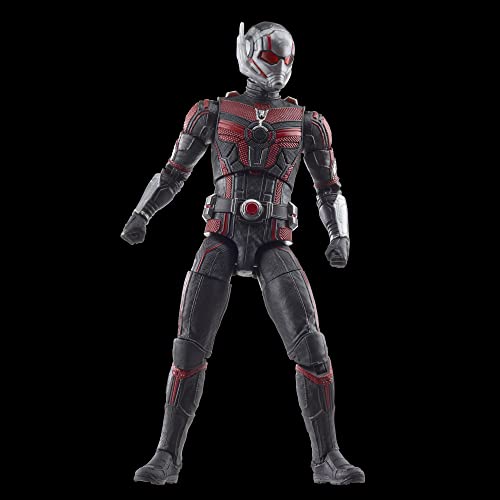 Marvel Hasbro Legends Series Ant-Man, Ant-Man & the Wasp: Quantumania Legends Action Figures, 6” 