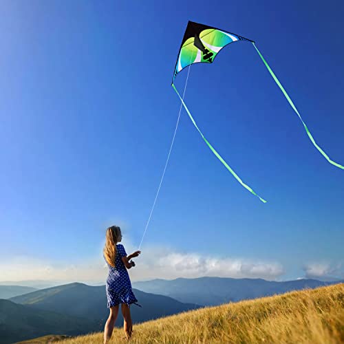 HONBO Large Kites for Adults, Beginner Kite for Kids Easy to Fly, The Easiest Single Line Beach Kite, with 300ft String,Handle(Green)