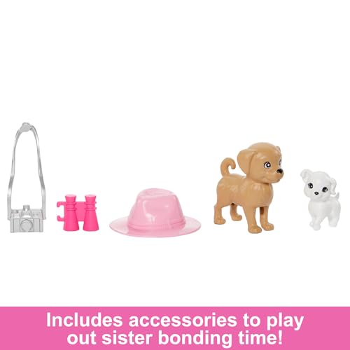 Barbie & Stacie Doll Set with 2 Pet Dogs & Accessories, Dolls with Blonde Hair & Blue Eyes, Summer Clothes, HRM09