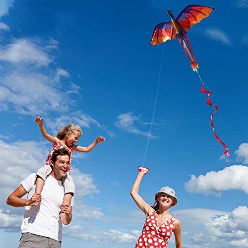 Touch the sky Huge Dragon Kite for Kids and Adults Easy to Fly-55inch x 62inch Single Line with Tail 90M String