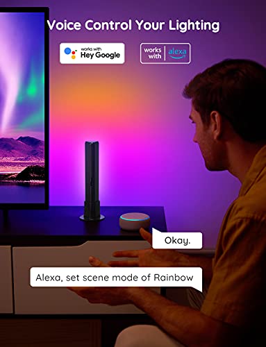 Govee LED Light Bars, Smart WiFi RGBIC TV Backlight, Gaming Lights with Scene and Music Modes, Play Light Bar for PC, TV, Room Decoration, Work with Alexa & Google Assistant