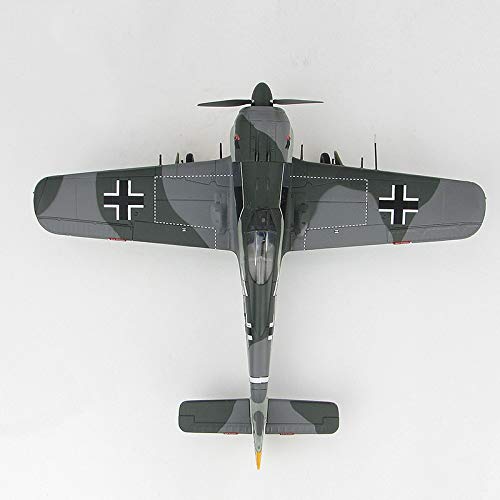 Hobby Master FW 190A-4 JG2 Captain Eugene Meyer United/3 1/48 diecast plane model aircraft