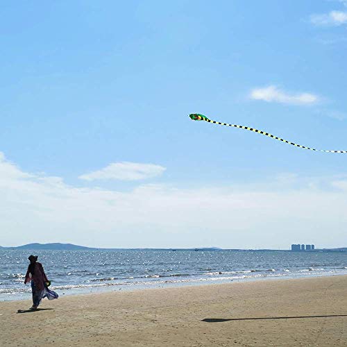 Mint's Colorful Life Large cobra kite with long tail for kids and adults, kite line and handle included, it will dominate the sky!