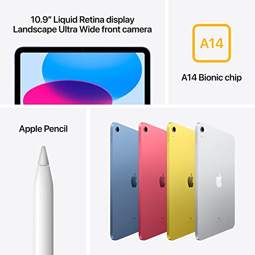 Apple 2022 10.9-inch iPad (Wi-Fi, 256GB) - Blue (10th generation)