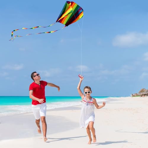 NUDFSY Pocket Kite, Kites for Children, 1 Set Rainbow Kite Colorful with Long Tail, Easy Flyer Kite With String Line, Beach Game Outdoor Activities for Beginner, Gift to Boys Girls