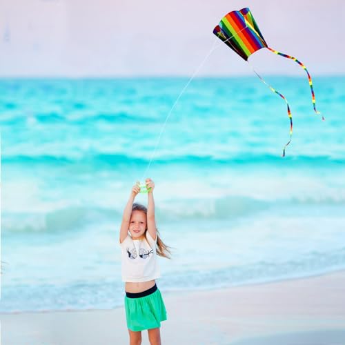 NUDFSY Pocket Kite, Kites for Children, 1 Set Rainbow Kite Colorful with Long Tail, Easy Flyer Kite With String Line, Beach Game Outdoor Activities for Beginner, Gift to Boys Girls