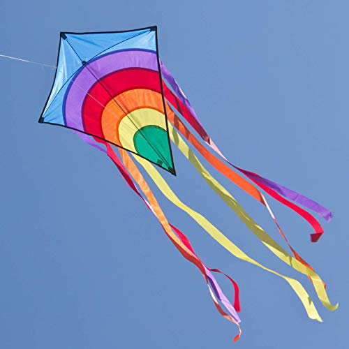 CIM Kite Set - Rainbow Eddy [2 Pcs blue/red] – single line kite for children from the age of 3 years up - 65x74cm - incl. 80m kite string and 8x105cm striped tails