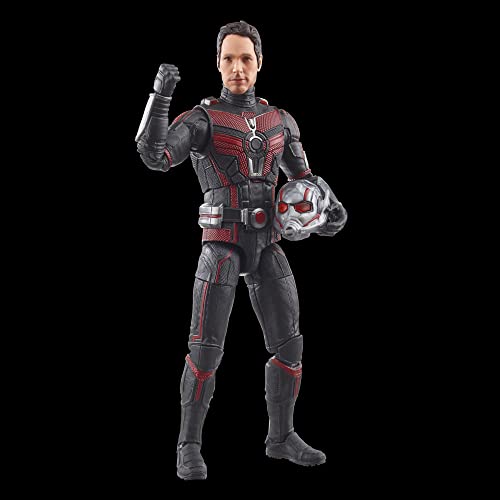 Marvel Hasbro Legends Series Ant-Man, Ant-Man & the Wasp: Quantumania Legends Action Figures, 6” 