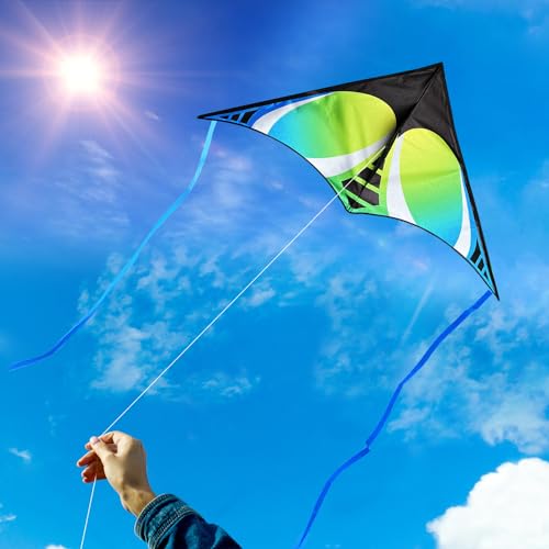 HONBO Large Kites for Adults, Beginner Kite for Kids Easy to Fly, The Easiest Single Line Beach Kite, with 300ft String,Handle(Green)