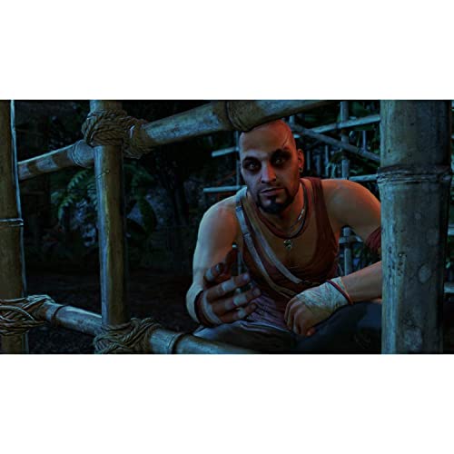 Far Cry 3 Classic Edition (PS4)