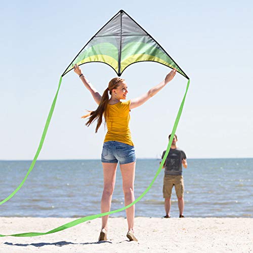 Mint's Colorful Life Delta Kite for Kids & Adults, Extremely Easy to Fly Kite, Best Kite for Beginner and Toddlers