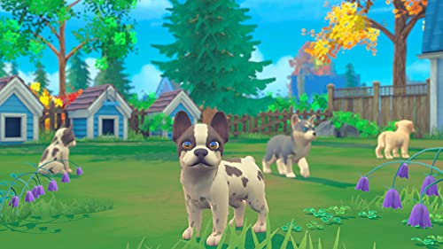 My Universe: Puppies & Kittens (Nintendo Switch)