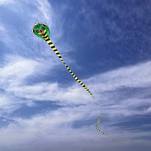 Mint's Colorful Life Large cobra kite with long tail for kids and adults, kite line and handle included, it will dominate the sky!