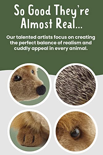 Living Nature Large Hedgehog, Realistic Soft Cuddly Hedgehog Toy, Naturli Eco-Friendly Plush, 23cm