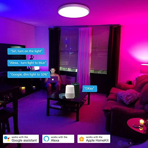 Smart LED Ceiling Light 24W 1920lm RGB 2700K - 6500K Dimmable, WiFi Ceiling Light App/Voice Control Compatible with HomeKit/Alexa/Google Home for Living Room/Bedroom IP54 Waterproof No Hub Required