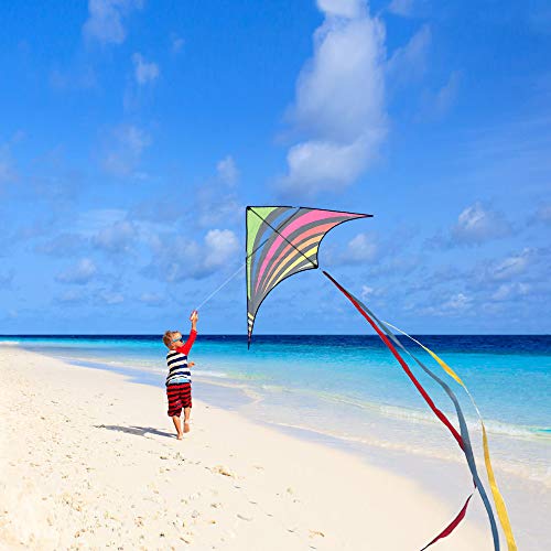 Mint's Colorful Life Delta Kite for Kids & Adults, Extremely Easy to Fly Kite with 3 Ribbons and 300ft Kite String, Best Kite for Beginner