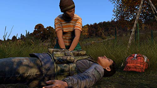 Dayz (PS4)