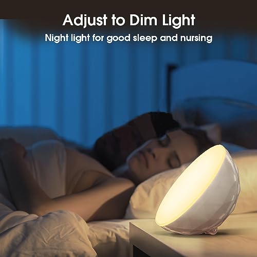 kazumi Versatile Smart LED Mood Lamp: Dimmable RGB Color, Decorative Night Light for Bedrooms, Living Room & Gaming Areas, Ideal for Small Spaces & Picture Displays - Chic White