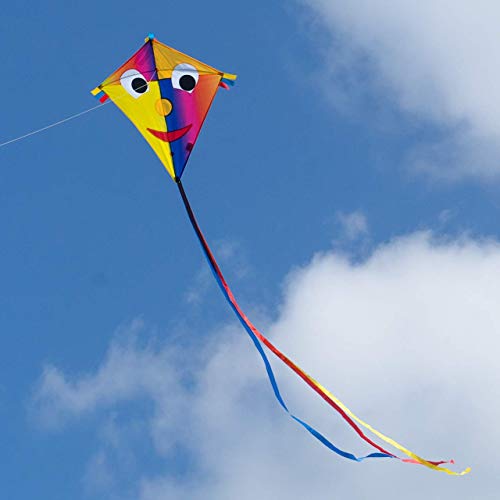 CIM Kite Set - Joker Eddy [2 Pcs Happy Joker/Maya Joker] - single line kite for children from the age of 3 years up - 65x74cm - incl. 80m kite string and 2x250cm striped tails