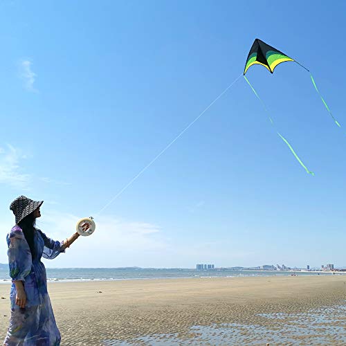 Mint's Colorful Life Delta Kite for Kids & Adults, Extremely Easy to Fly Kite, Best Kite for Beginner and Toddlers