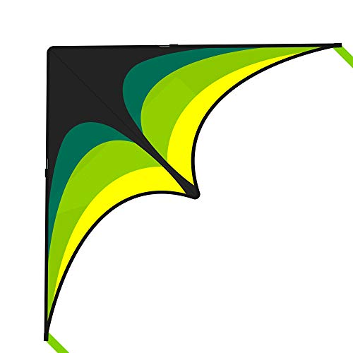 Mint's Colorful Life Delta Kite for Kids & Adults, Extremely Easy to Fly Kite, Best Kite for Beginner and Toddlers