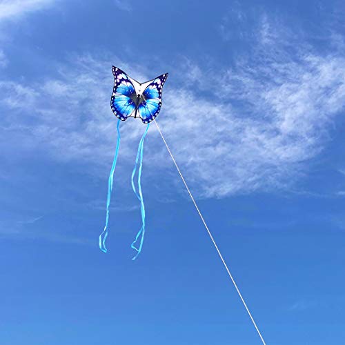 Mint's Colorful Life Butterfly Kite (Blue)