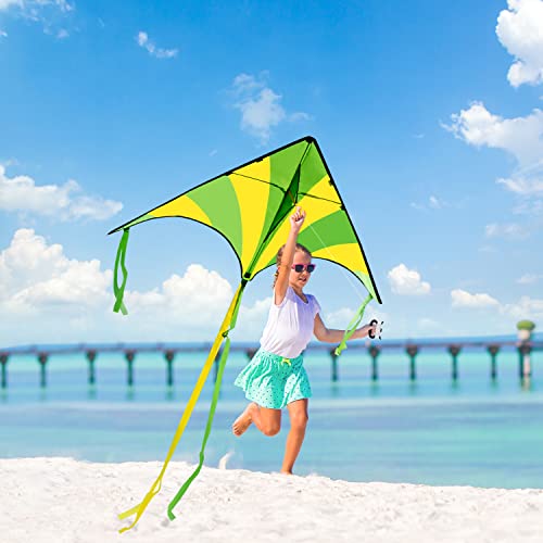 JOYIN 2 Packs Large Delta Kite Green and multicolor kite Easy to Fly Huge Kites for Kids and Adults with 262.5 ft Kite String, Large Delta Beach Kite for Outdoor Games and Activities