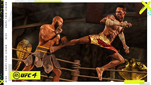 UFC 4 PS4 LATAM version Spanish/English/French