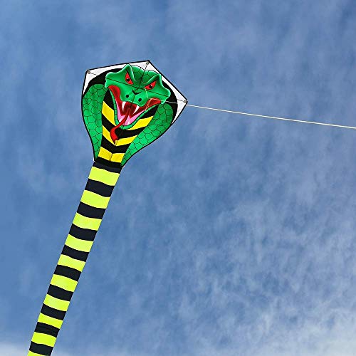 Mint's Colorful Life Large cobra kite with long tail for kids and adults, kite line and handle included, it will dominate the sky!