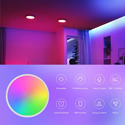 Smart LED Ceiling Light 24W 1920lm RGB 2700K - 6500K Dimmable, WiFi Ceiling Light App/Voice Control Compatible with HomeKit/Alexa/Google Home for Living Room/Bedroom IP54 Waterproof No Hub Required