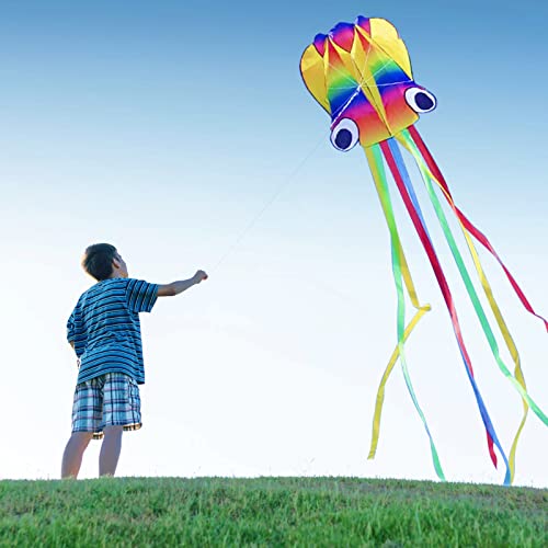 VIKSAUN Huge Rainbow Soft Octopus Kite for Kids and Audlts Large Kite with Long Tail 100m line Great Gift to Boys Girls with Kite String and Handle Beach Trip Outdoor Game (Rainbow)