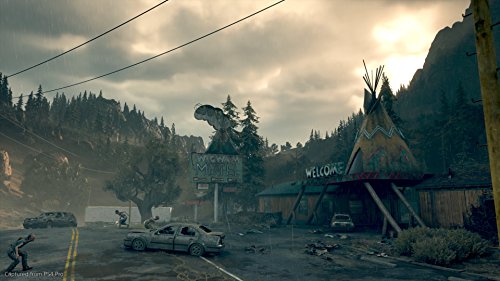 Days Gone for PlayStation 4