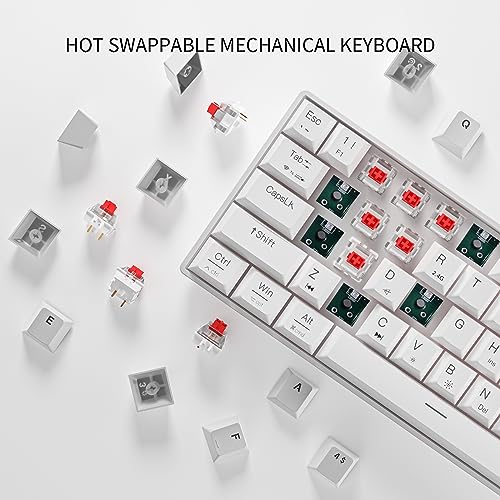 NEWMEN GM610 Wireless Mechanical Keyboard,White 60% Wired USB C/Bluetooth/2.4Ghz RGB Backlit Hot Swappable Keyboard,Compact Anti-Ghosting Mac Windows PC Gaming Keyboard,QWERTY Layout(Red Switches)