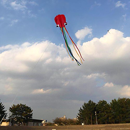 ZoomSky 2 Pack Kites - Large Rainbow Delta Kite and Red Mollusc Octopus with Long Colorful Tail for Children Outdoor Game,Activities,Beach Trip