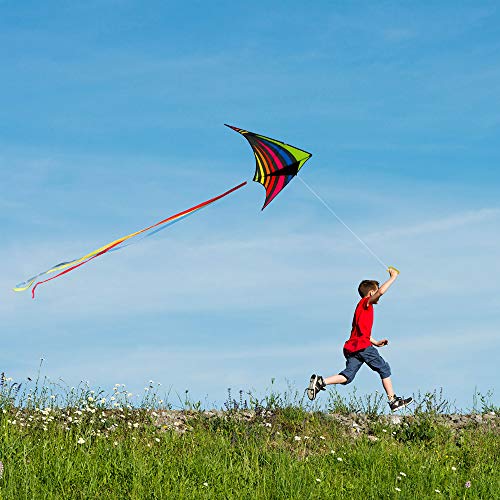 Mint's Colorful Life Delta Kite for Kids & Adults, Extremely Easy to Fly Kite with 3 Ribbons and 300ft Kite String, Best Kite for Beginner