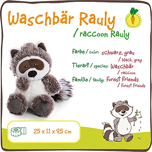 NICI 47340 Rauly The Cuddly 25cm – Plush Raccoons for Girls, Boys & Babies – Fluffy Stuffed Animal to Cuddle & Play – Pet Soft Toys – Forest Friends Collection, Black/Grey, 25 cm