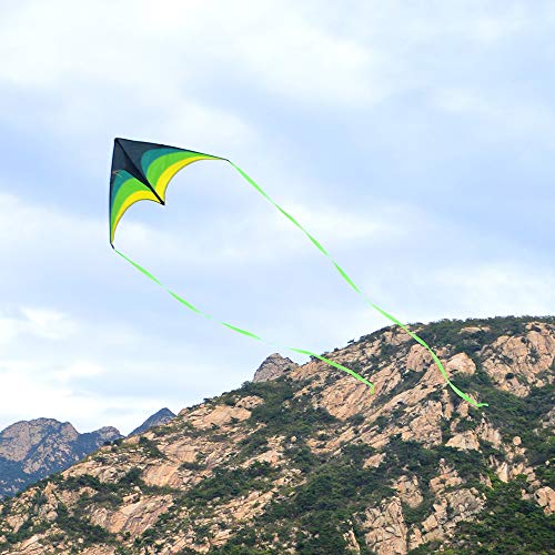 Mint's Colorful Life Delta Kite for Kids & Adults, Extremely Easy to Fly Kite, Best Kite for Beginner and Toddlers