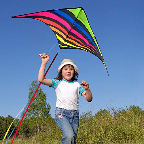 Mint's Colorful Life Delta Kite for Kids & Adults, Extremely Easy to Fly Kite with 3 Ribbons and 300ft Kite String, Best Kite for Beginner