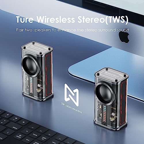 Portable Bluetooth Speaker with Lights Transparent Wireless Mini Speaker with TWS, Perfect Small Speaker HD Sound and Bass for Office, Home, Shower, Room, Bike, Car (Black)