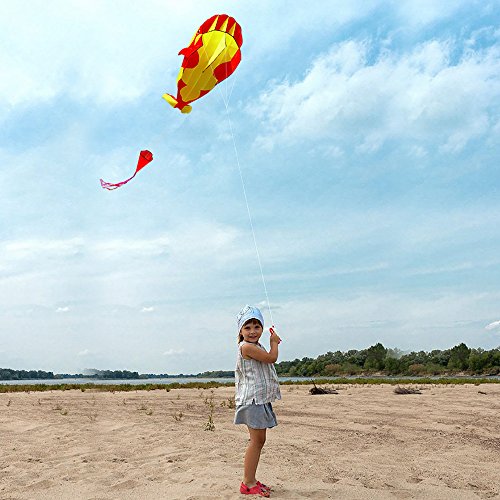 Lixada 3D children adults kites Giant frameless soft parafoil giant whale kite, single line kite Best large beach kite, 120 * 215cm, with storage bag