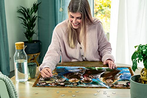 Ravensburger Harry Potter Jigsaw Puzzle for Adults & for Kids Age 12 Years Up - 1000 Pieces