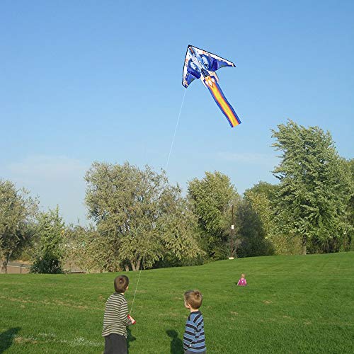 Mint's Colorful Life Airplane Kite for Kids & Adults Easy to Fly