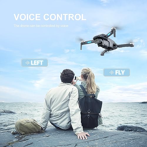 4DRC F12 Drones with Camera for Adults 4K, GPS FPV Foldable 5G Quadcopter for Beginners with Optical Flow Positioning, Auto Return Home, Follow Me, Brushless Motor, 2 Batteries, Carrying Case