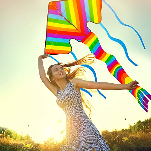 Huge Rainbow Delta Kite for Children and Adults - Great Outdoor Kids Toys for Beginners - Very Easy to Fly Kite - Even in Low Winds - Makes a Great Gift or Stocking Filler