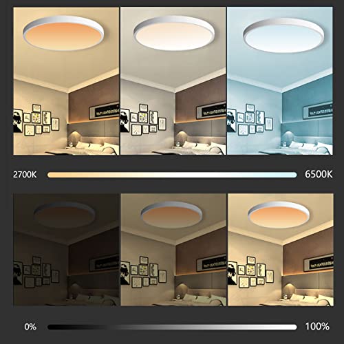 Smart LED Ceiling Light 24W 1920lm RGB 2700K - 6500K Dimmable, WiFi Ceiling Light App/Voice Control Compatible with HomeKit/Alexa/Google Home for Living Room/Bedroom IP54 Waterproof No Hub Required