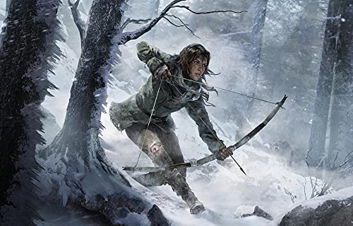 Rise of the Tomb Raider 20 Year Celebration (PS4)