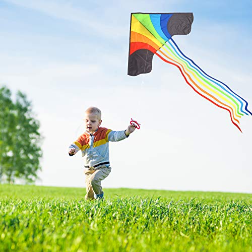 Original Rainbow Kite For Children And Adults - Very Easy To Fly Kite - Family Fun For All - Great Outdoor Toy For Beginners - Built To Last - Makes a Great Gift or Stocking Filler